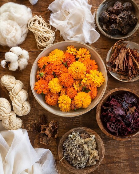 Picture 3 for Activity Chiusi: Botanical Colors Experience: natural dyeing workshop 2