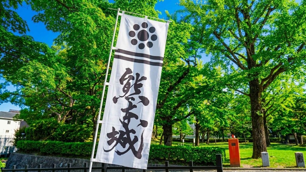 Picture 4 for Activity Fukuoka: Kumamoto Castle, Aso Volcano & Shrine Day Tour 4