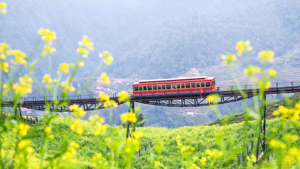 A red train on a bridge over a valley with yellow flowers in the foreground. 4