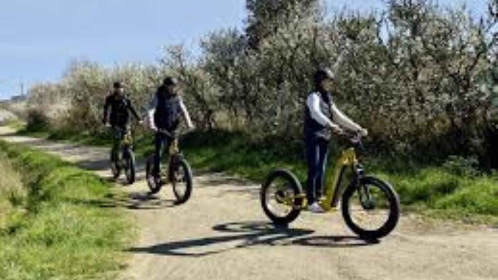 Picture 1 for Activity La Turballe: Guided scooter ride on the Guérande peninsula 4