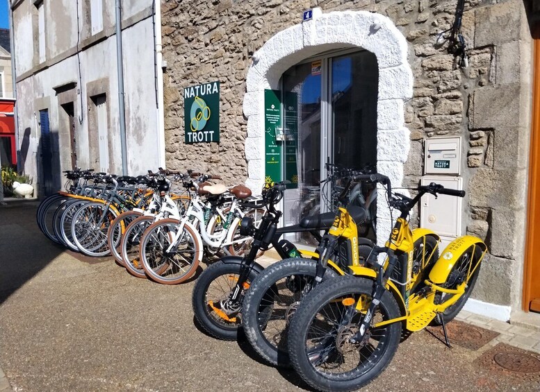 Picture 4 for Activity La Turballe: Guided scooter ride on the Guérande peninsula 2
