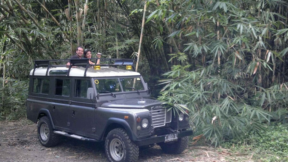 A black Land Rover driving through a dense bamboo forest. 5
