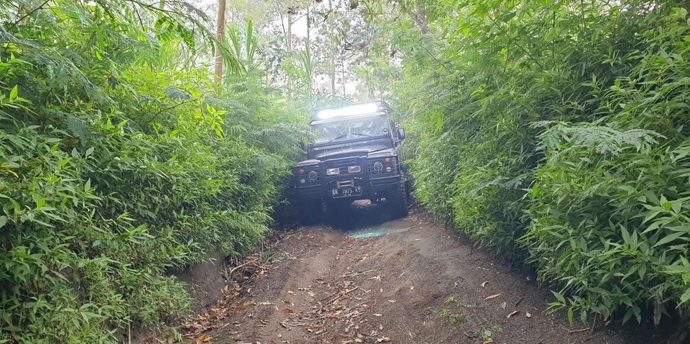 A vehicle navigating a narrow, unpaved path surrounded by dense vegetation. 3