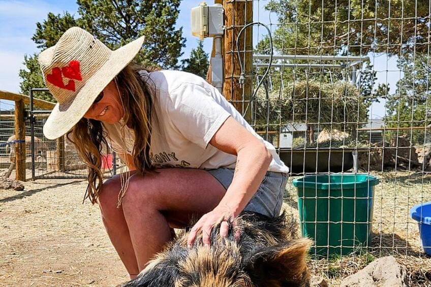 A person interacting with a donkey in a fenced area with a green trash bin and a blue container nearby. 2
