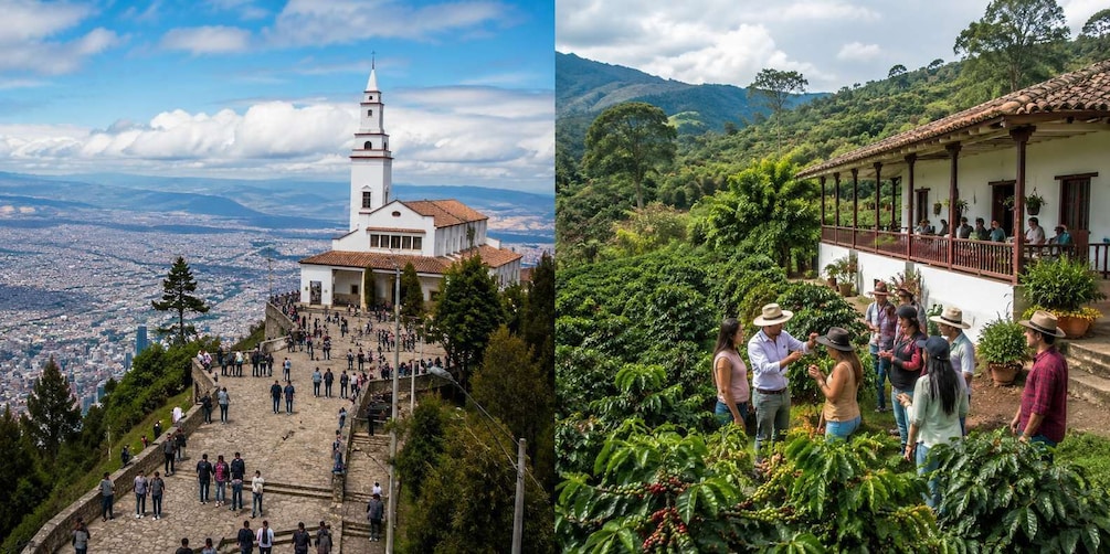 A church with a bell tower, a staircase leading to a city view, and a coffee plantation with visitors. 1