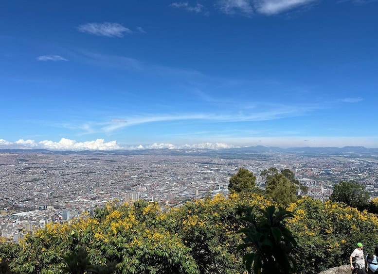 A cityscape with a clear blue sky, distant mountains, and yellow flowering trees in the foreground. 3