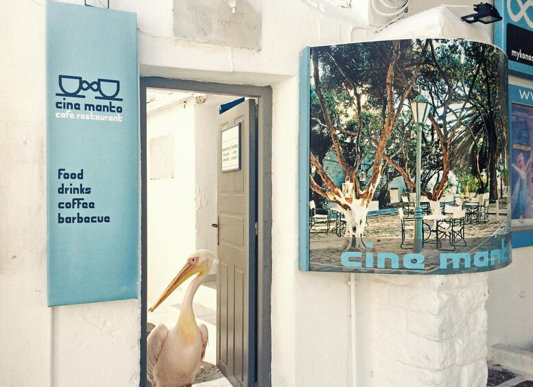 A potted tree with a sign reading 'Cine Manto cafe restaurant' and a list of offerings including food, drinks, coffee, and barbecue. 3