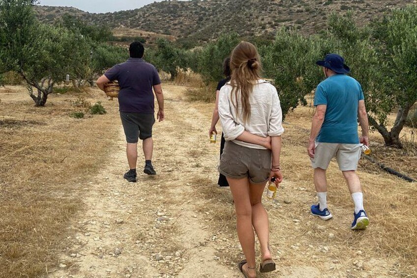 Botanical Garden and Organic Olive Grove Experience in Cyprus 4