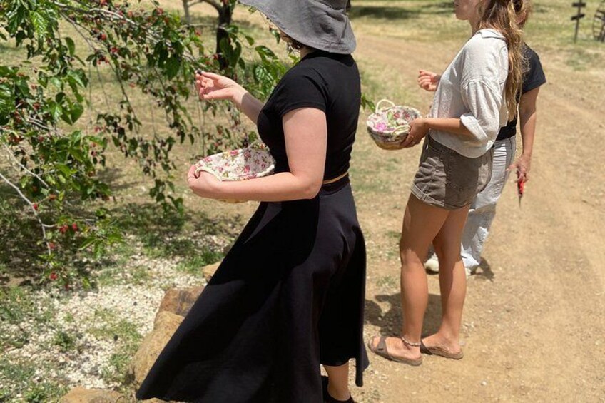 Botanical Garden and Organic Olive Grove Experience in Cyprus 3