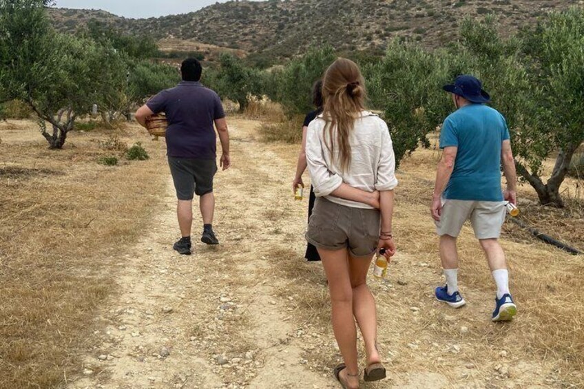 A group of people walking on a dirt path in an olive grove. 5