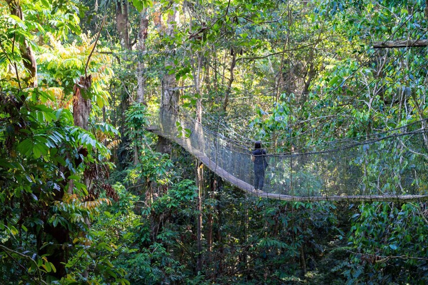 Picture 1 for Activity Kuching: Mulu National Park 6-Day Adventure Tour 2