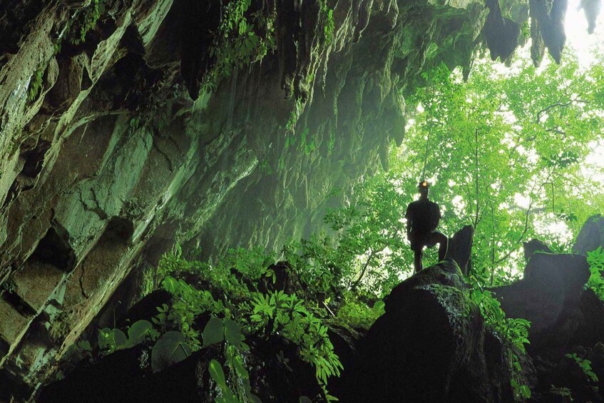 Picture 2 for Activity Kuching: Mulu National Park 6-Day Adventure Tour 3