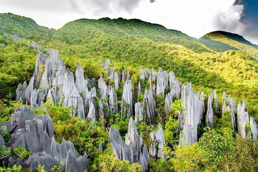Kuching: Mulu National Park 6-Day Adventure Tour 1