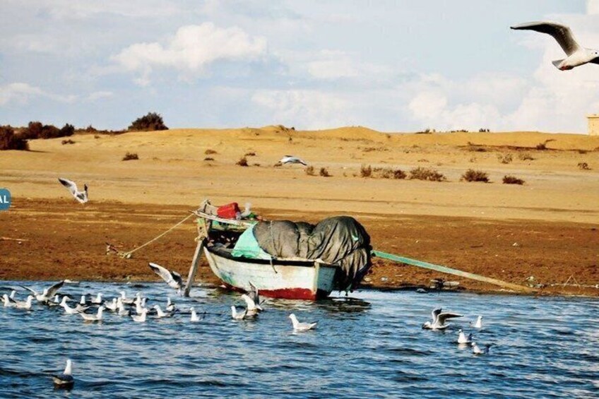 A boat on a body of water with seagulls flying around it. 4