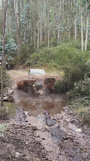 Picture 5 for Activity Viana do Castelo Off-Road Buggy Tour 3