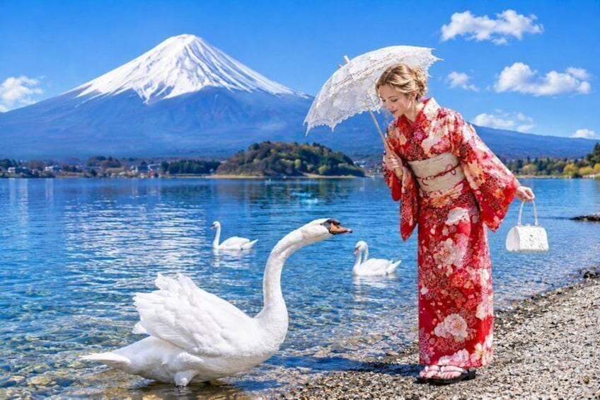 A person in a red kimono by a lake with swans and a mountain in the background. 2