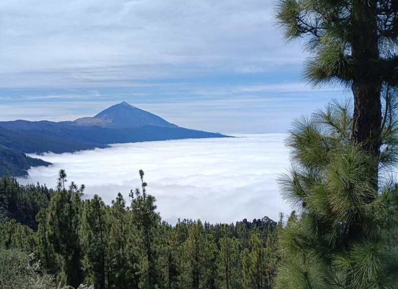 A mountain with a cloud base, surrounded by dense forest. 2