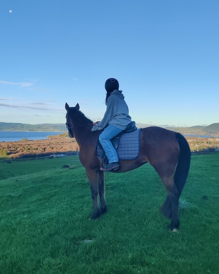 A person riding a horse in a grassy field with a distant body of water and hills. 5