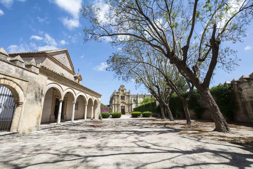 A courtyard with a large tree, a building with arches, and a distant ornate church. 3