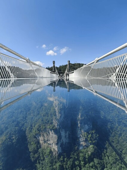 A symmetrical suspension bridge with a clear reflection in the water below, surrounded by dense forest. 5