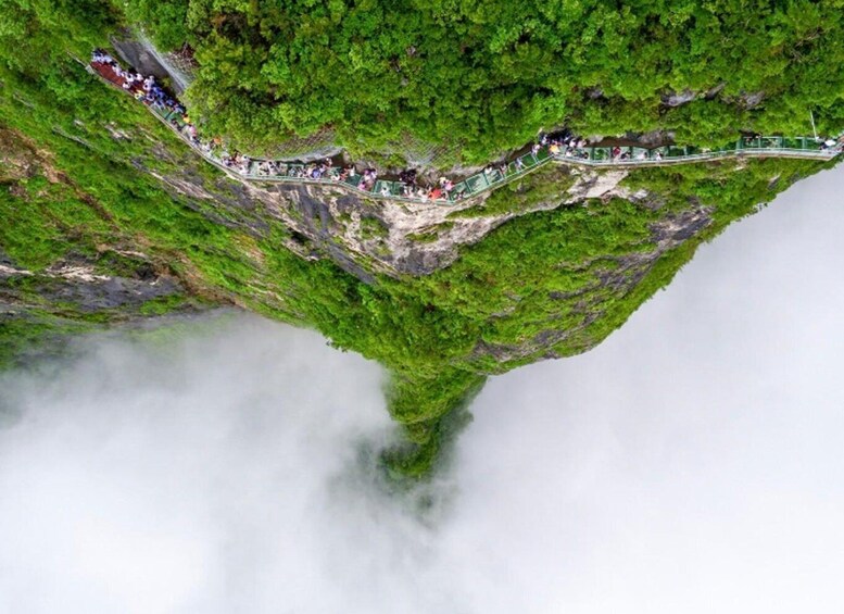 A steep, narrow path winding through a lush, green forested cliffside with a misty valley below. 2