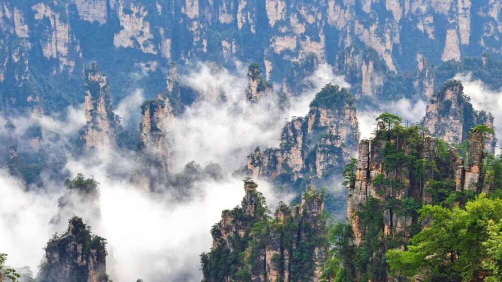 Towering limestone cliffs with dense forest vegetation. 1