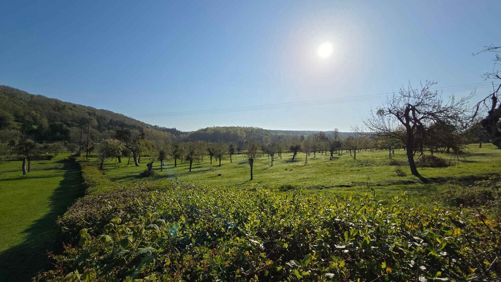 Picture 1 for Activity Herefordshire's Hidden Gems - Mordiford's wildlife & history 3