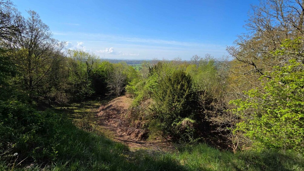 Picture 3 for Activity Herefordshire's Hidden Gems - Mordiford's wildlife & history 2