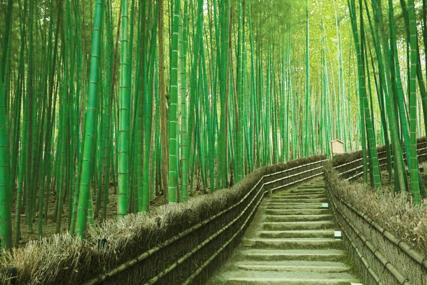 Picture 1 for Activity Biwako Fireworks Festival & Arashiyama Day Tour from Kyoto 3