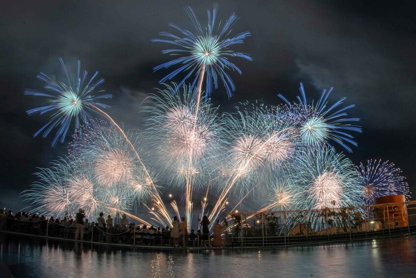 Picture 7 for Activity Biwako Fireworks Festival & Arashiyama Day Tour from Kyoto 5
