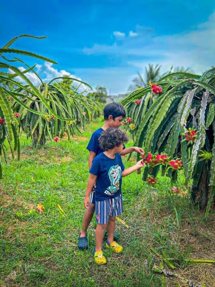 Two children in a field with tall plants and red flowers. 4