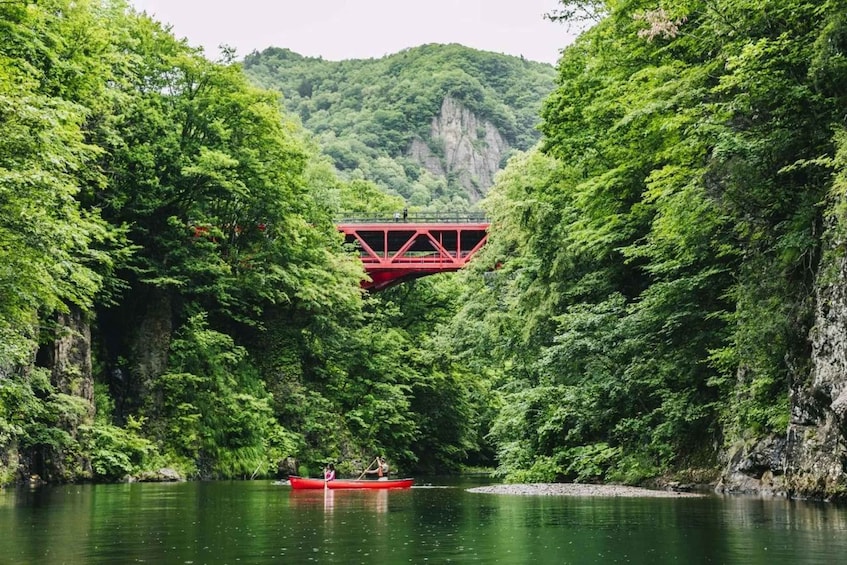 A red bridge over a river surrounded by dense green forest. 5