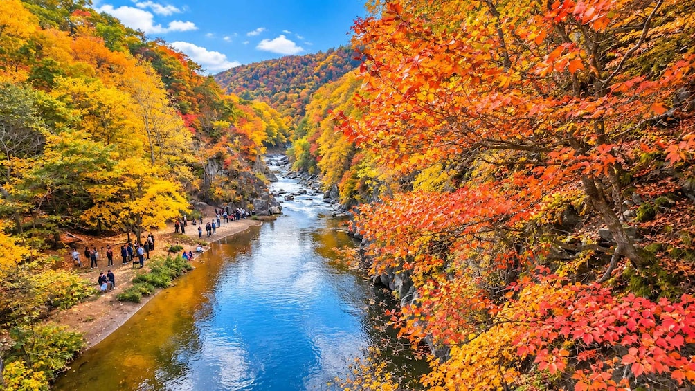Hoheikyo Gorge, Jozankei, Lake Toya & Showa Shinzan Day Tour 1
