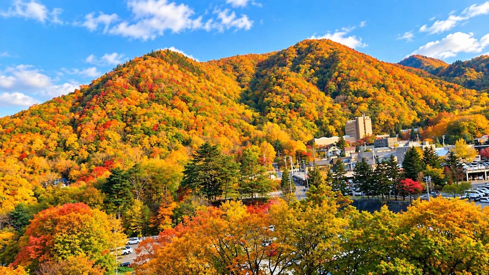 Picture 1 for Activity Hoheikyo Gorge, Jozankei, Lake Toya & Showa Shinzan Day Tour 2