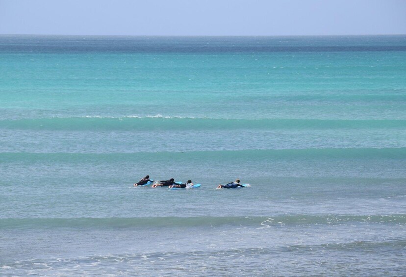 Picture 2 for Activity Boa Vista: Surf Lesson for Beginner & Improvers 4