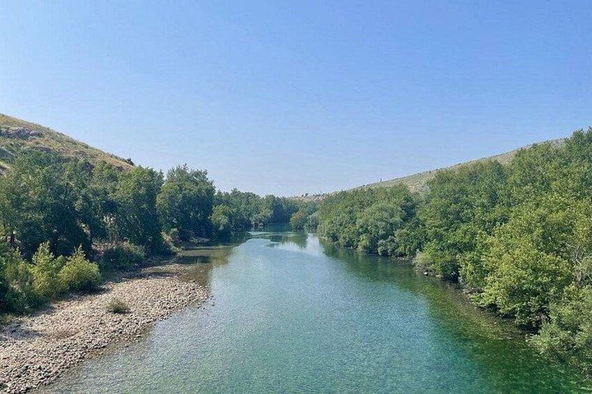 A river surrounded by dense green forest. 3