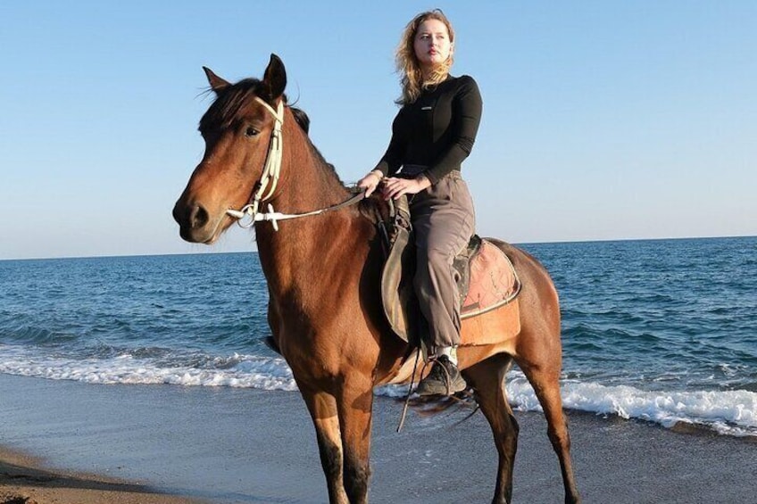 A person riding a horse on a beach with the ocean in the background. 2