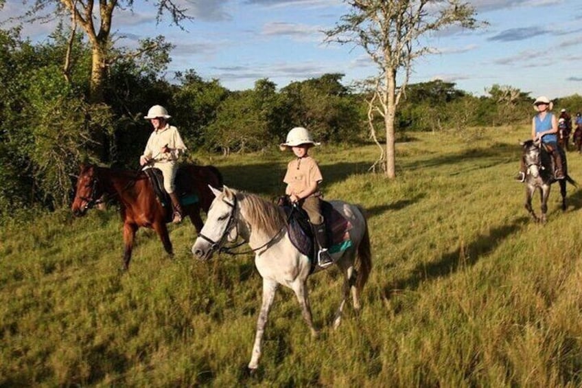 Three people riding horses in a grassy field with trees in the background. 1