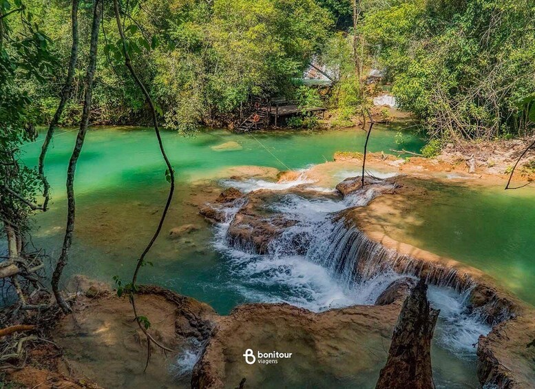 Picture 3 for Activity Estância Mimosa: 7 waterfalls, a typical lunch, and an easy trail in Bonito 3