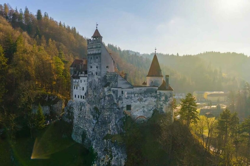 A castle perched on a cliff, surrounded by forest. 5