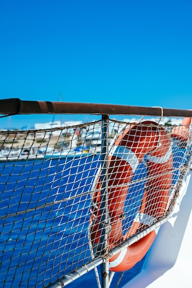 Picture 6 for Activity One-day excursion from Panermos, Naxos, to Koufonissi 3