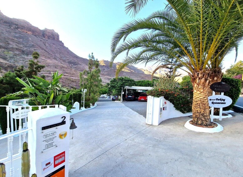 A parking area with a sign for a restaurant, a mountain in the background, and a palm tree. 4