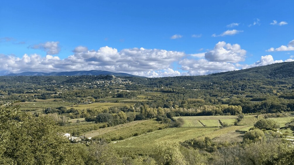 A rural landscape with rolling hills, scattered houses, and a village in the distance under a clear blue sky. 4