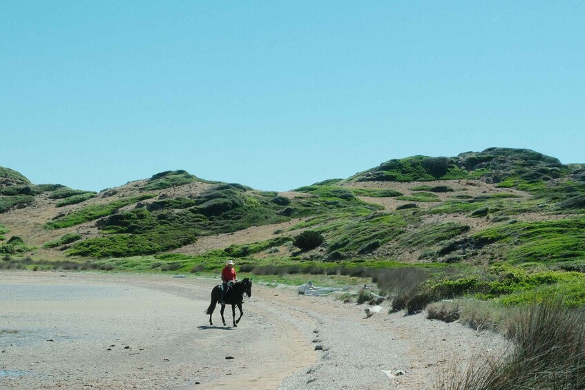 Studland: Horseback Ride Through Scenic Heathland 1