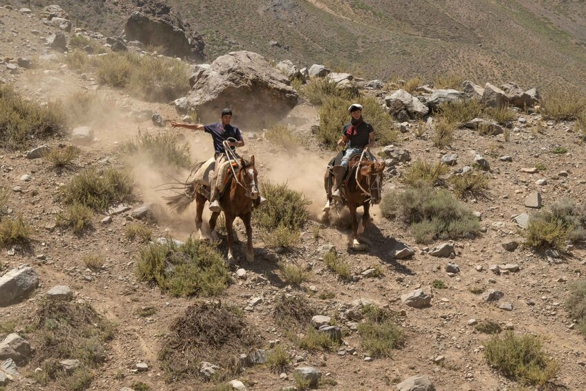 Picture 3 for Activity Studland: Horseback Ride Through Scenic Heathland 4