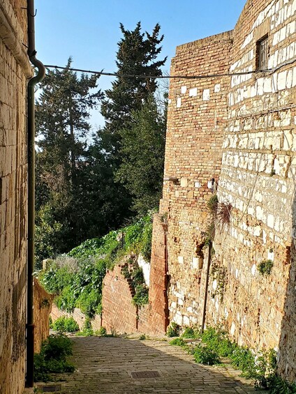 Picture 7 for Activity Ancona: Guided walking tour of the harbor, art, and centuries-old culture 5