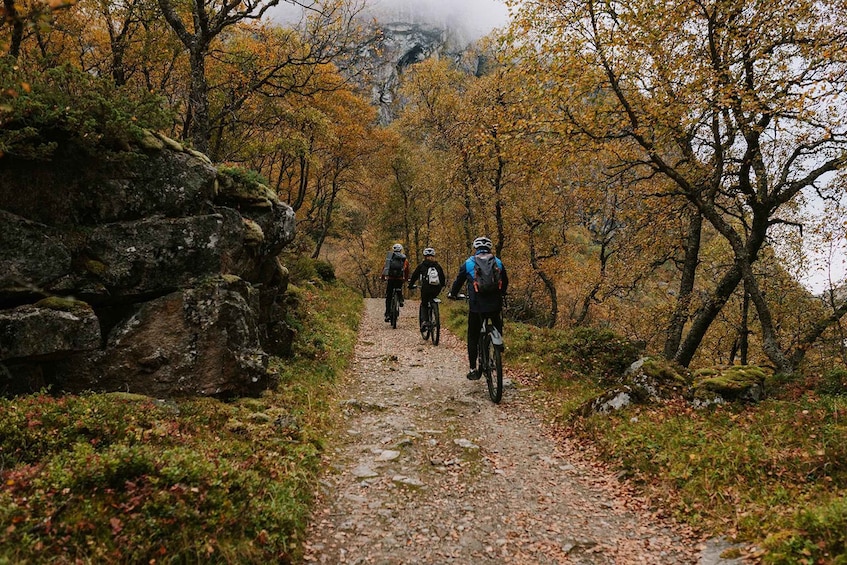 A group of cyclists on a rocky trail surrounded by autumn foliage. 4