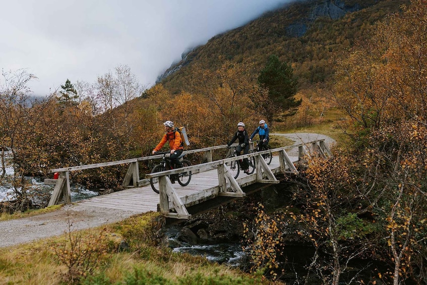 Three cyclists on a wooden bridge in a forested area with autumn foliage. 5