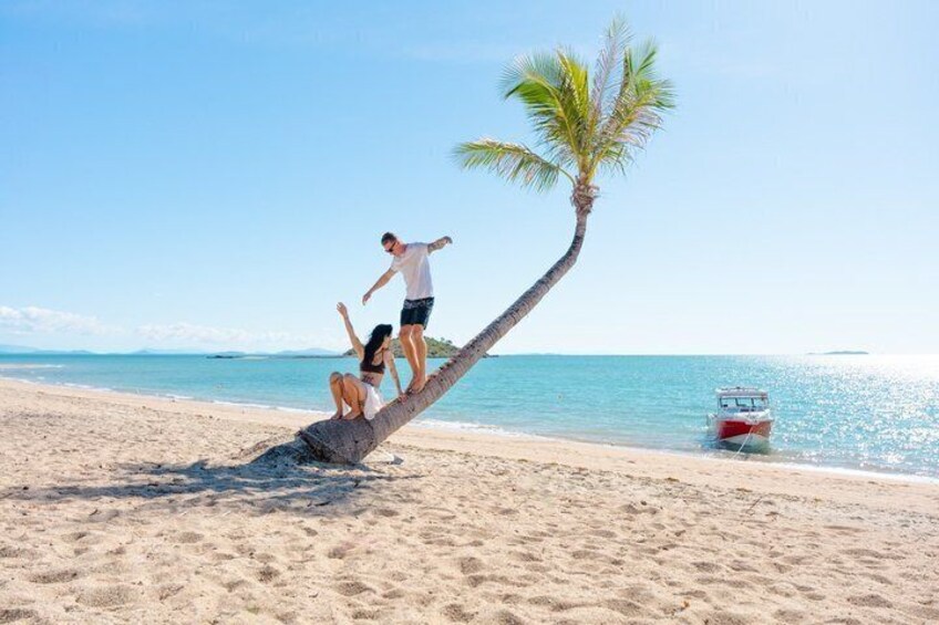 A beach with a palm tree, a boat, and people on a log. 2