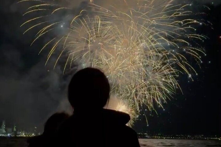 A silhouette of a person watching fireworks. 1